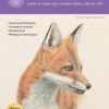 Drawing: Animals in Colored Pencil : Learn to draw with colored pencil step by step