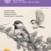 Drawing: Birds : Learn to draw step by step